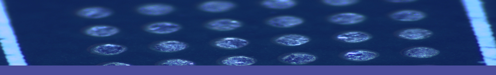 上海体育频道:AI插件机好学吗？3招快速上手技术优势太香了！